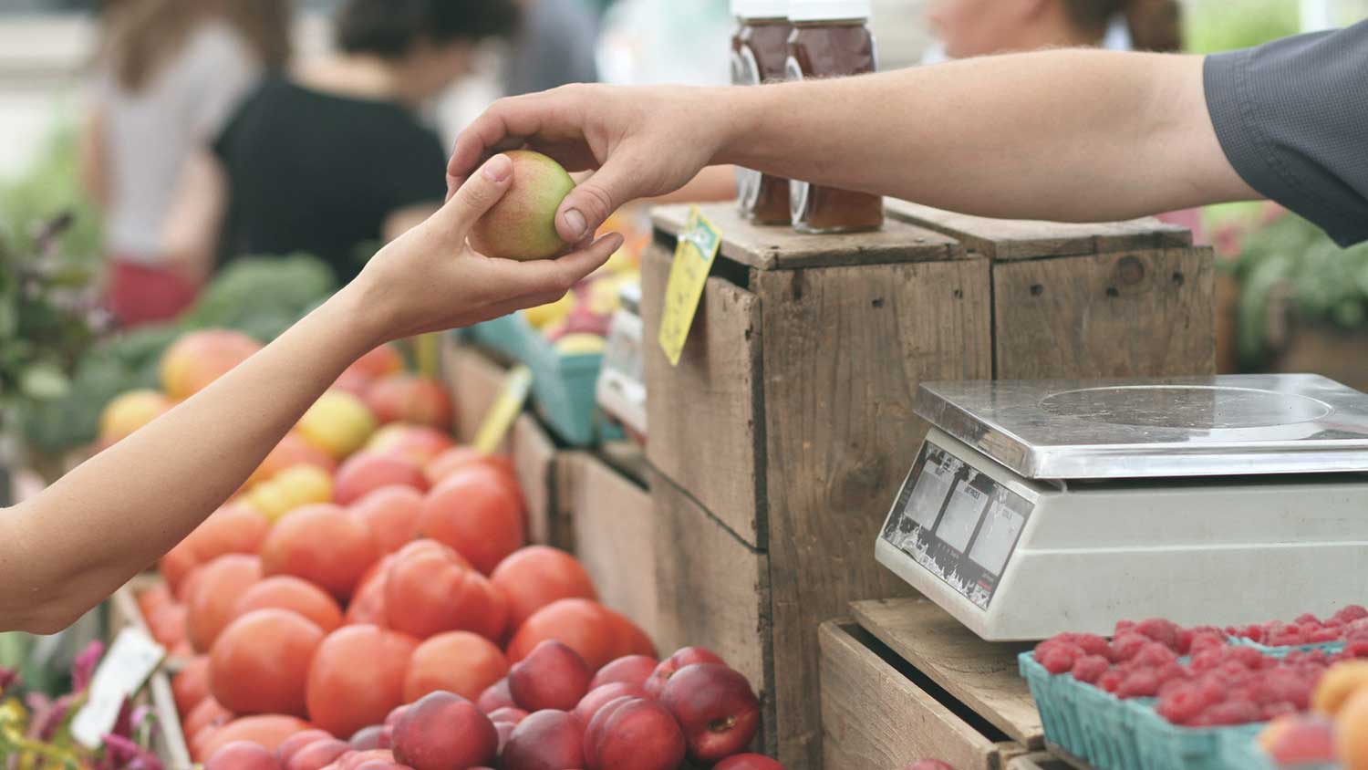 Ricerca Italiana Cursa Pubblica Atlante Del Cibo Dellarea