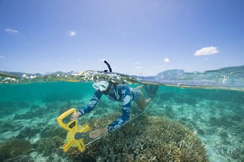 Scienza: barriere coralline inizieranno a scomparire nel 2054