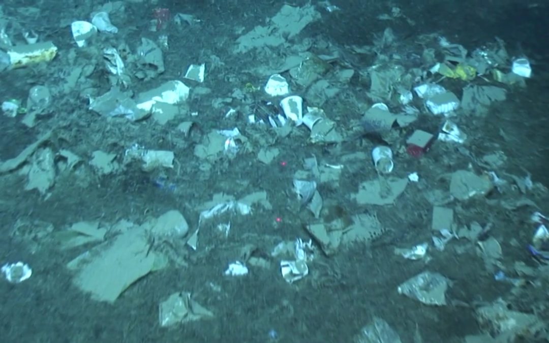 La plastica negli oceani è quintuplicata: 24.400 trilioni di frammenti