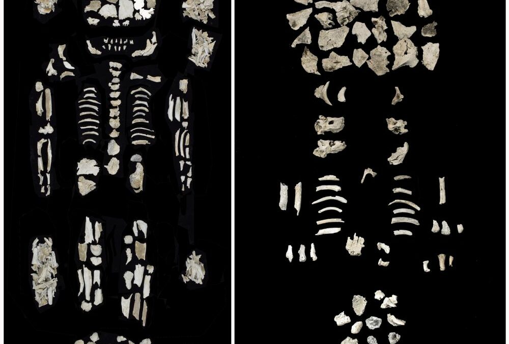 Scienza: Cimitero dell’età del bronzo rivela la storia di una donna di alto rango e dei suoi gemelli