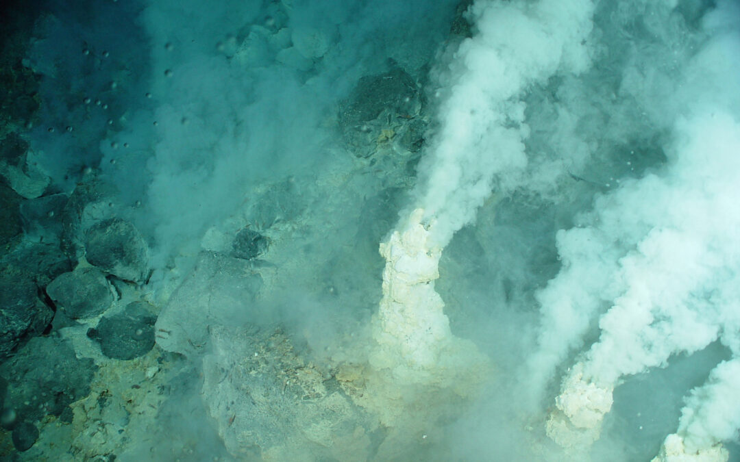 Scienza: Ecco come pascolano i protisti nelle acque profonde delle bocche idrotermali