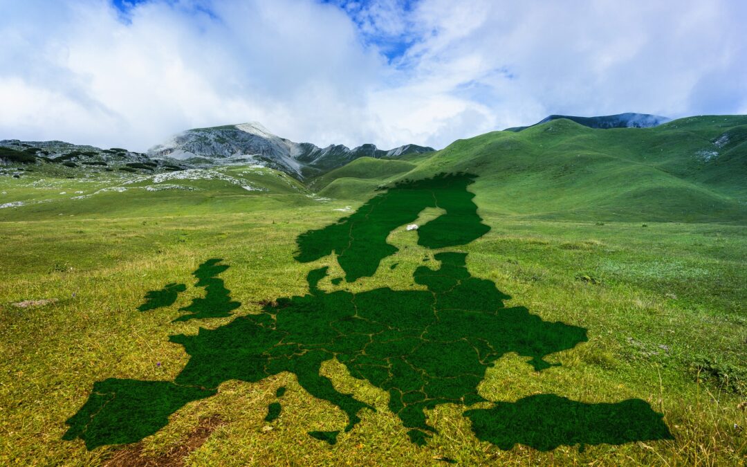 Ecco il ‘Fit for 55’, il piano per la transizione ecologica dell’UE