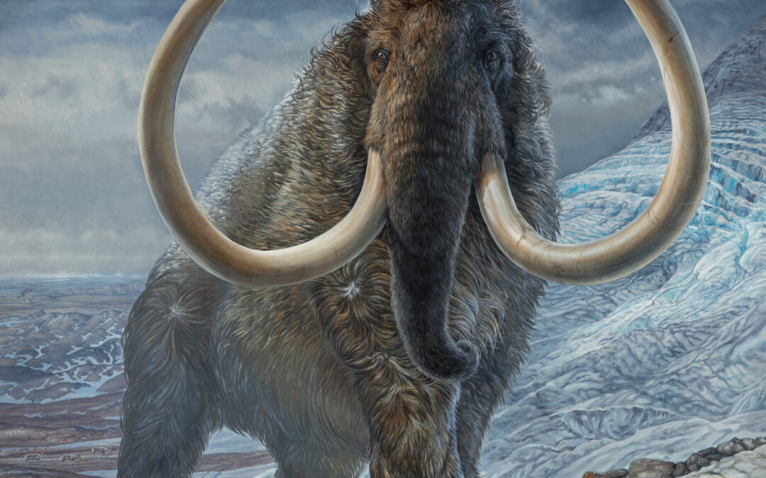 Rivissuta passo dopo passo la vita di un mammut lanoso artico di 17.000 anni fa