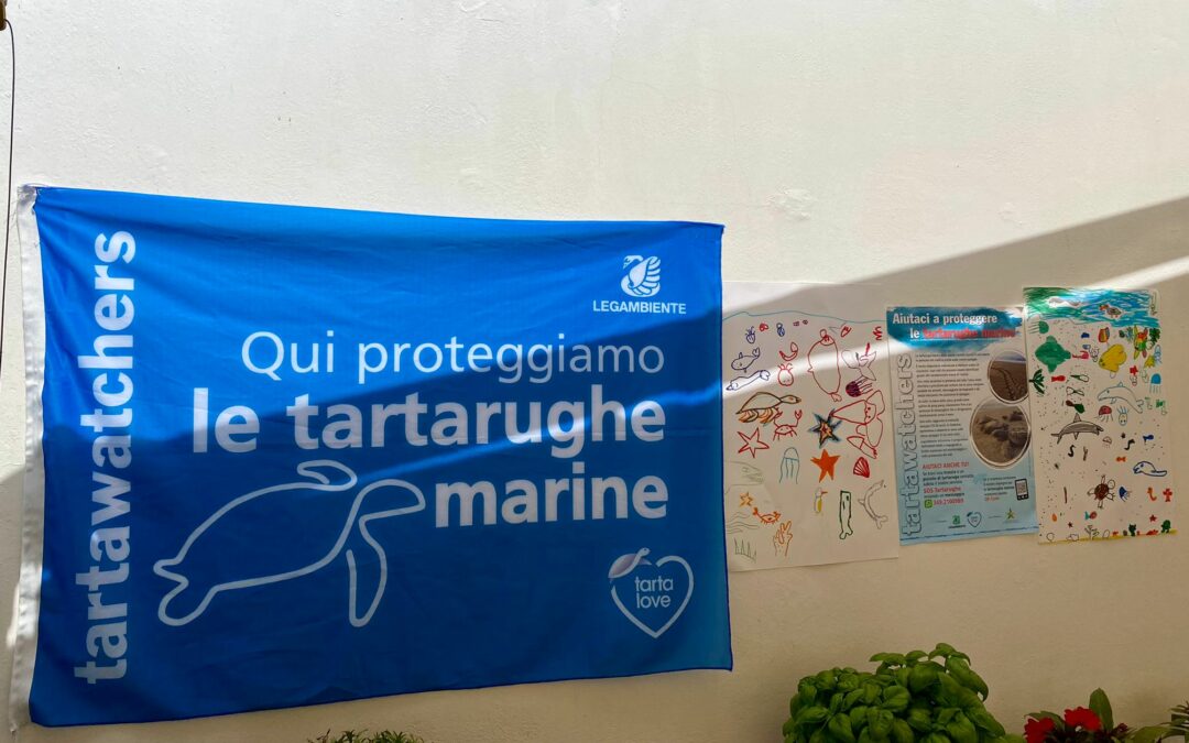 Record di nidi di tartarughe marine in Italia: 179 gli eventi censiti da inizio estate a oggi