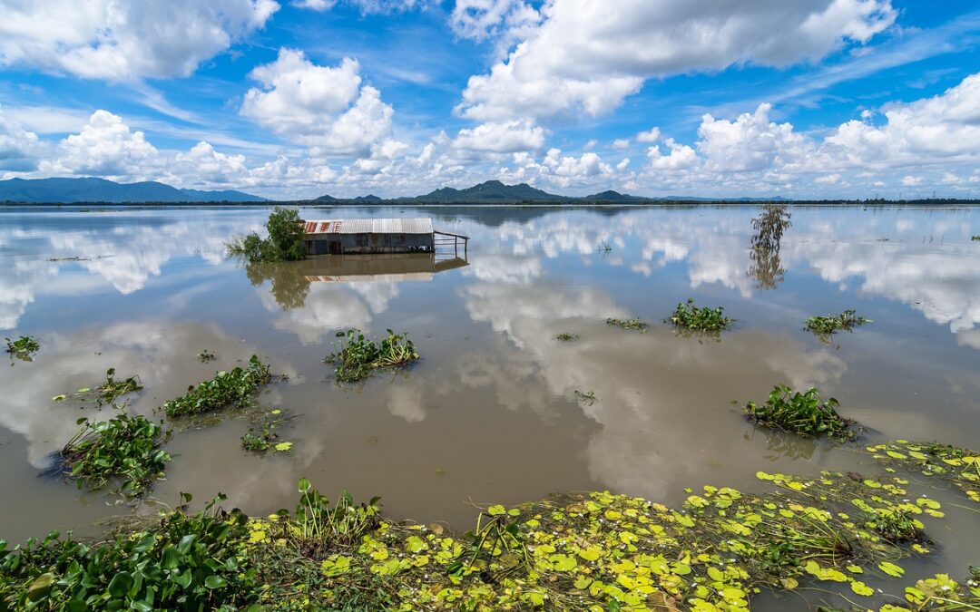 Il delta del Mekong rischia di sparire sotto il livello del mare