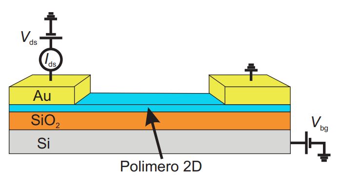 Scienza: P2DAME, il polimero 2D italiano ad alta mobilità elettronica
