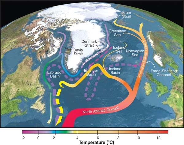 Scienza: ecco come i cicli glaciali si sono intensificati un milione di anni fa