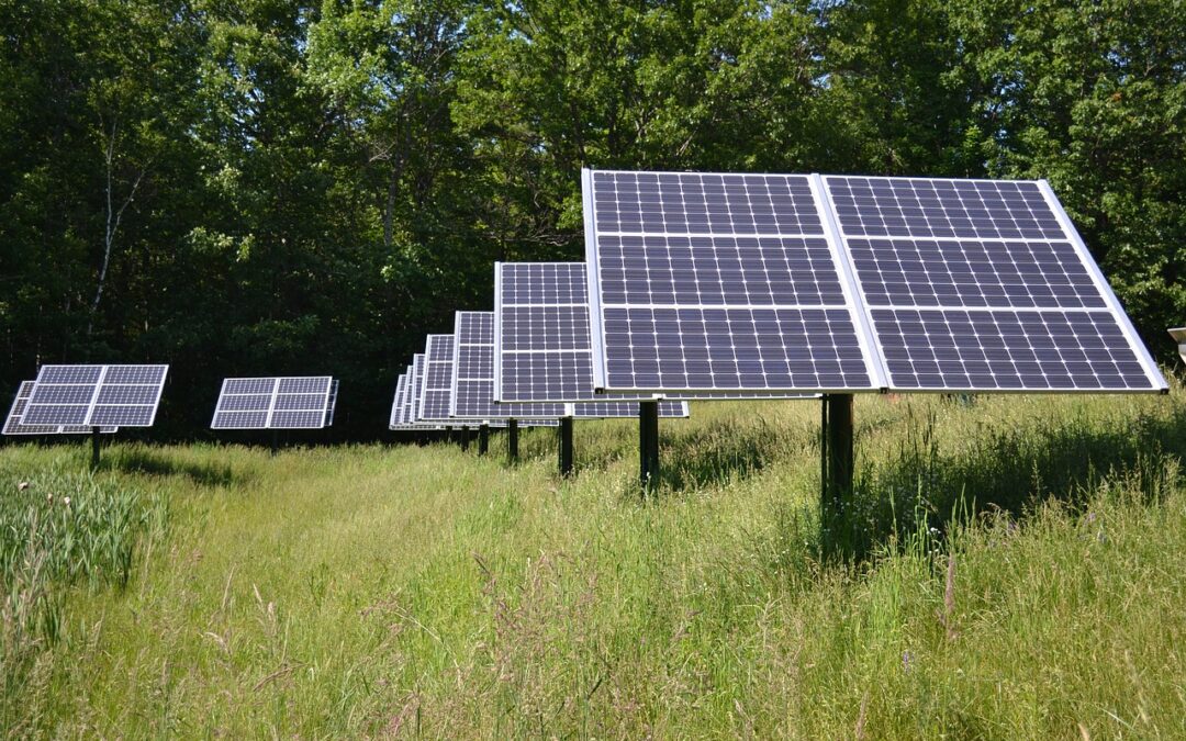 Unitus presenta le linee guida per l’Agro-fotovoltaico in Italia