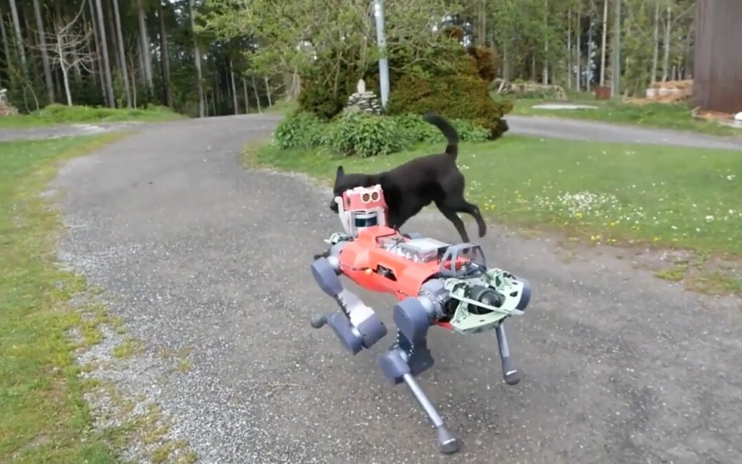 Il robot quadrupede che ha imparato a vedersela con un cane