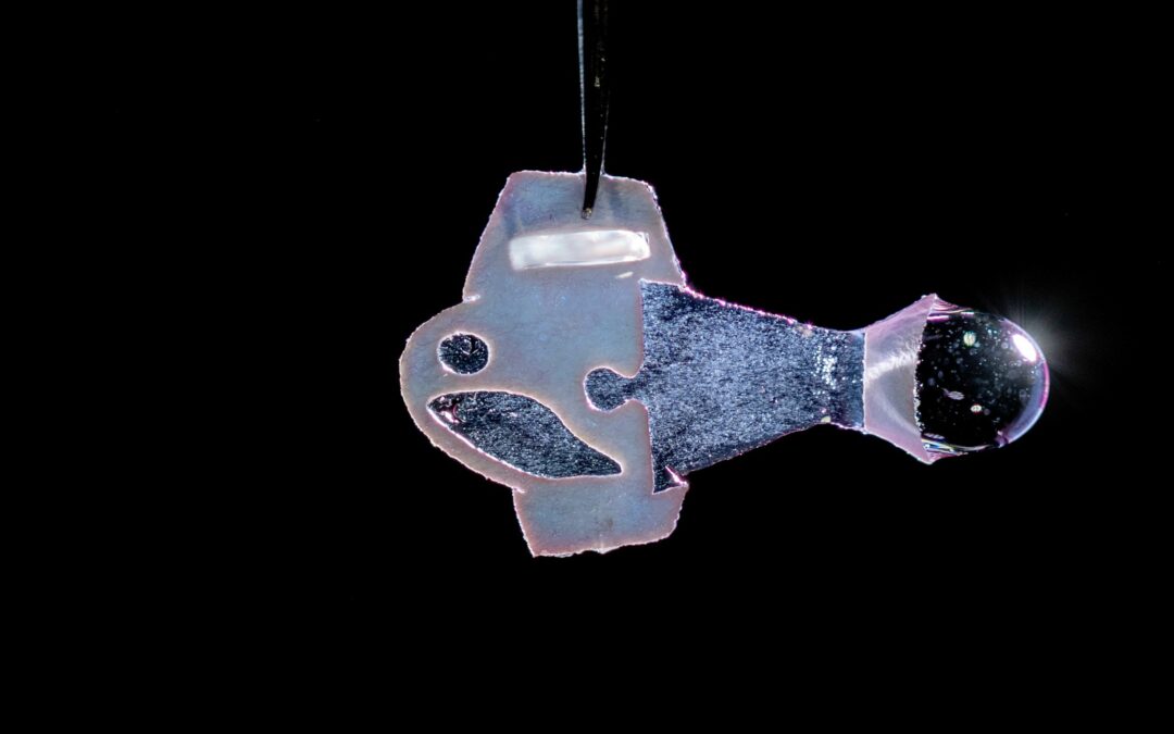 Il pesce bioibrido di plastica mosso da cellule di cuore umano, nuota per 108 giorni