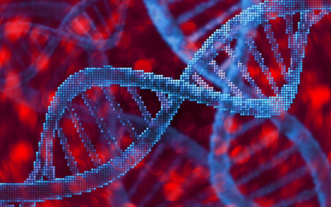 Creata la prima mappa completa del DNA del cromosoma Y