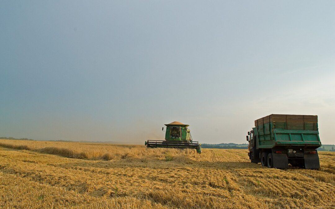 Ucraina: QU Dìongyu (FAO) interruzione produzione agricola ed export cereali “avranno ripercussioni significative sulla sicurezza alimentare”