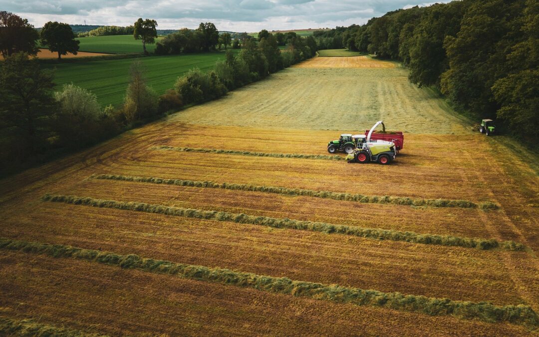 Tagliare le emissioni in agricoltura mette a rischio la sicurezza alimentare