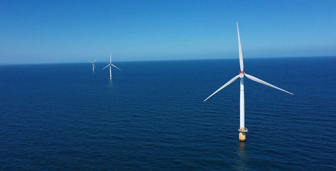 L’1% degli investimenti nell’Eolico offshore potrebbe ripristinare milioni di ettari di habitat marino