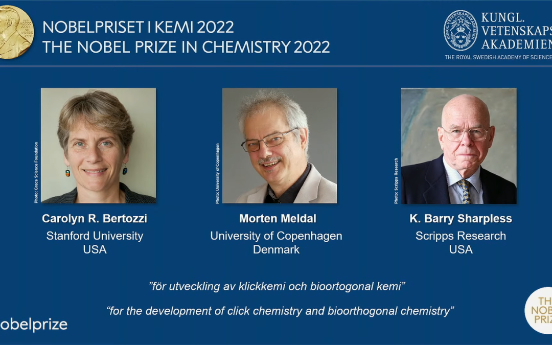 Nobel chimica, le motivazioni del Premio 2022