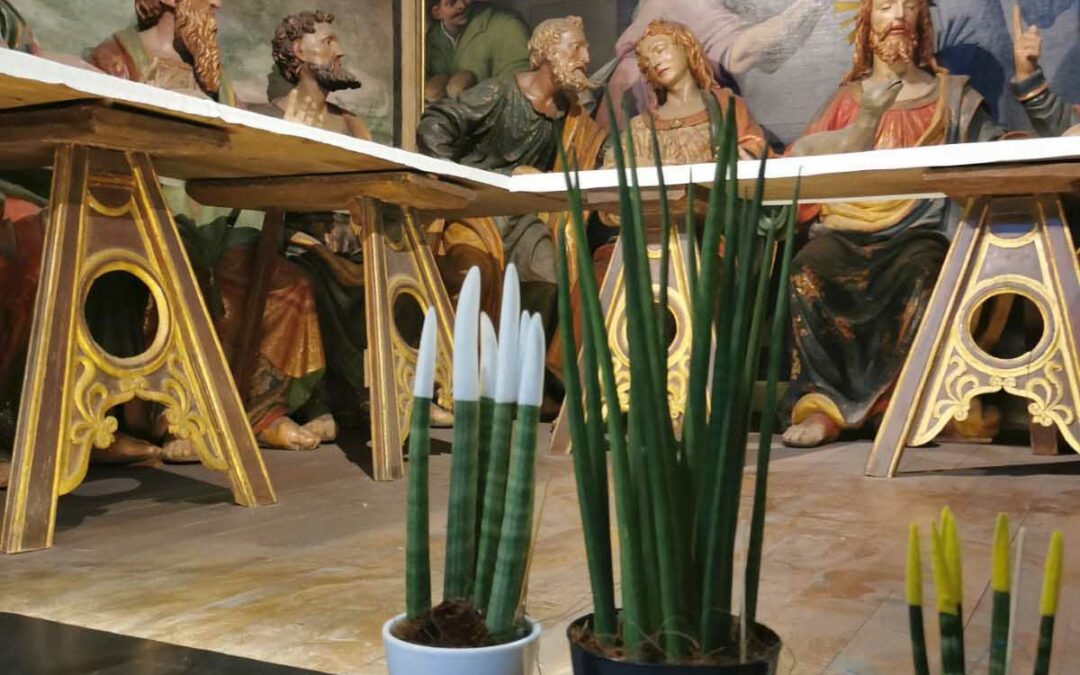 Ricerca Italiana: Santuario di Saronno, Unict protagonista del case-study tutela opere d’arte