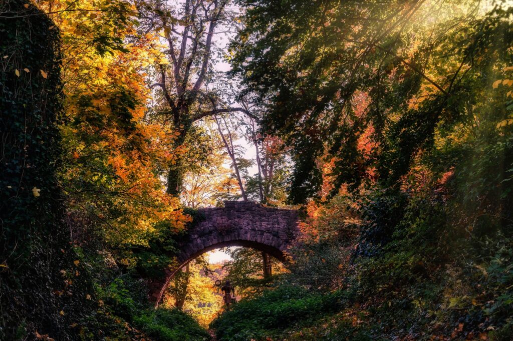 Questo Stato in Germania ha vietato i giardini di ghiaia, troppo pericolosi  per la biodiversità - greenMe