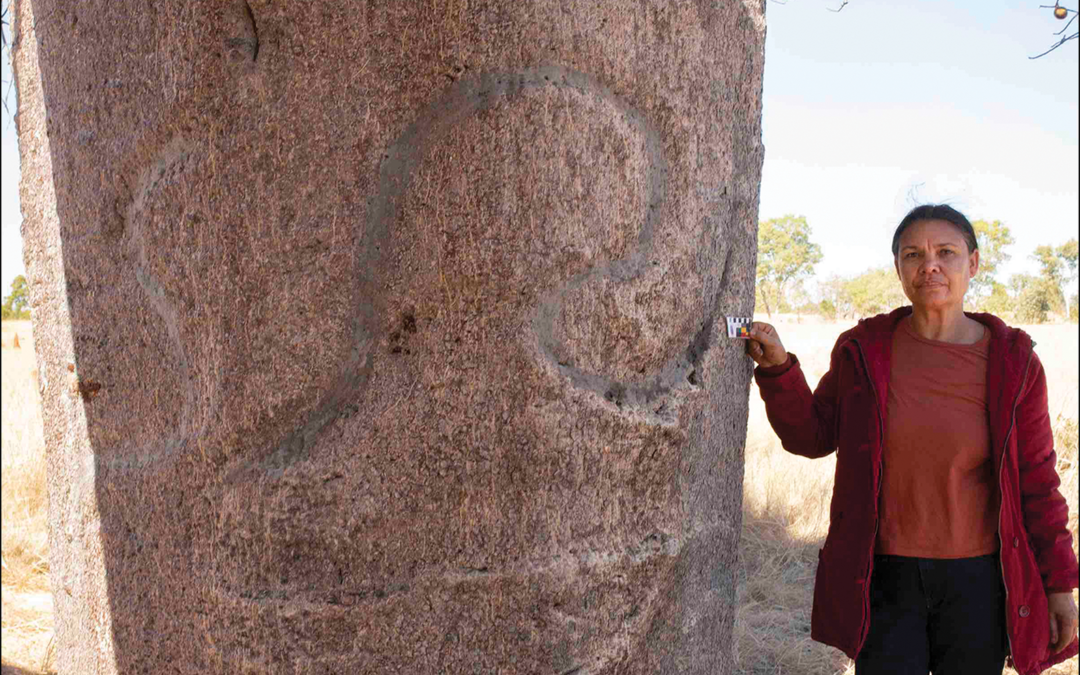 Corsa contro il tempo per documentare l’arte rupestre sulla corteccia dei baobab