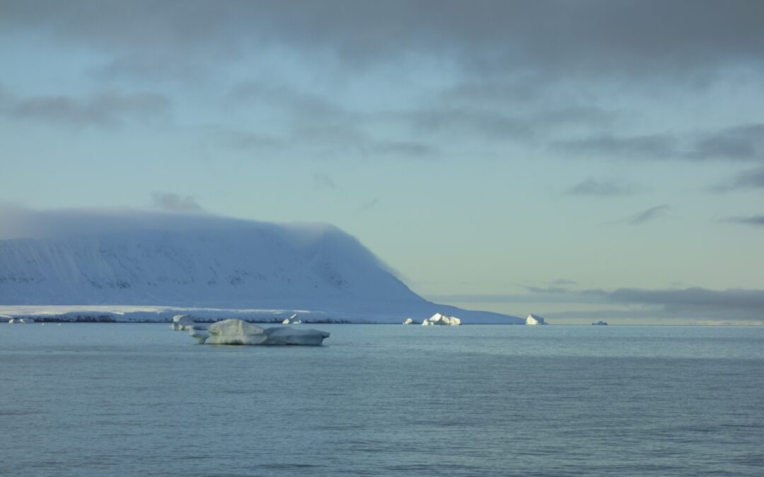 Scienza: scoperto nastro trasportatore nell’Oceano Artico che inghiotte CO2