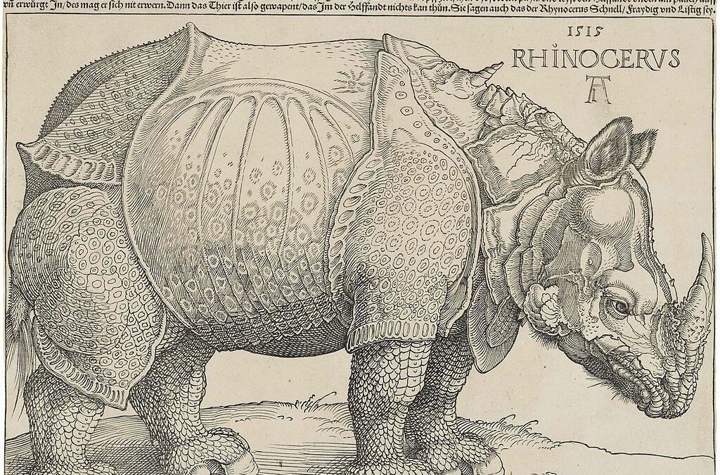 Scienza: le dimensioni del corno di rinoceronte sono cambiate a causa dell’uomo