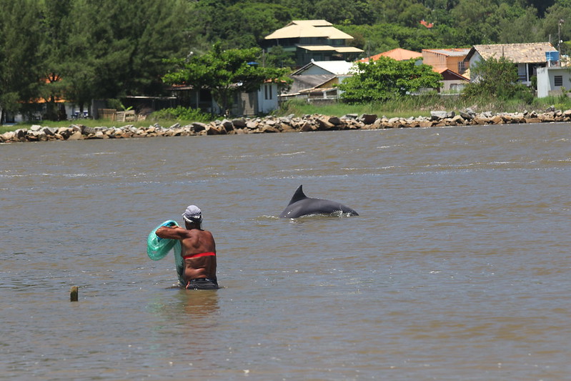 Scienza: quando pescano insieme, umani e delfini mangiano di più + FOTO