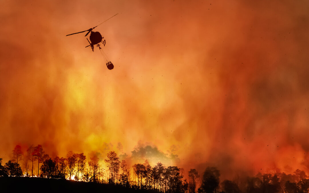 Scienza scende in campo contro gli incendi, strategie mirate per fermare le fiamme