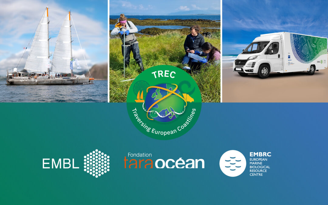Scienza: ecco TREC, il progetto paneuropeo che studia gli ecosistemi costieri