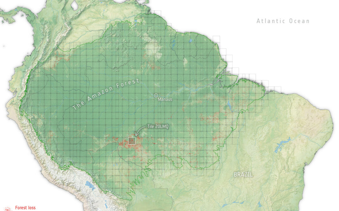 Spazio: ESA, un cubo di dati per monitorare la perdita di foreste in Amazzonia