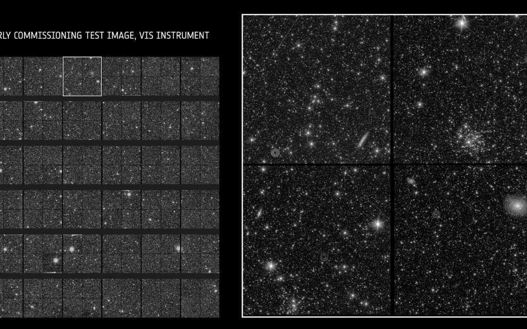 ASI “Immagini ipnotizzanti da Euclid”