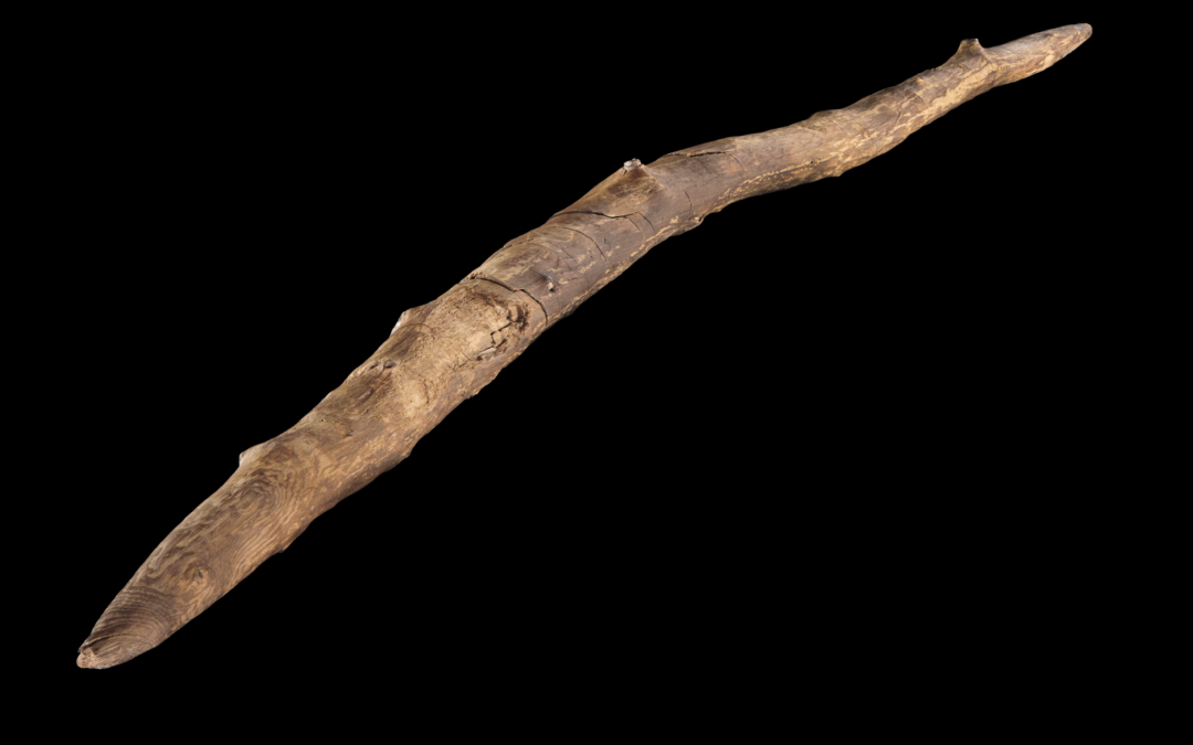 Scoperto un bastone appuntito di 300.000 anni