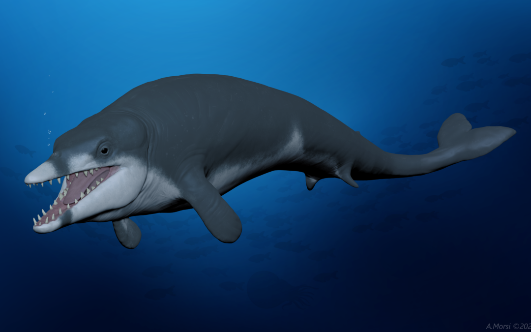 La balena Tutankamon: scoperto in Egitto, fossile di nuova specie cetaceo
