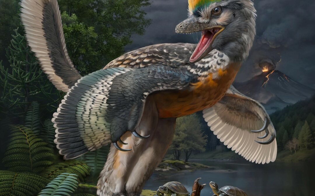 I paleontologi cinesi scoprono un nuovo collegamento fossile nell’evoluzione degli uccelli