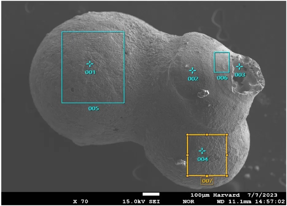 Meteorite alieno sulla Terra, le prove non convincono