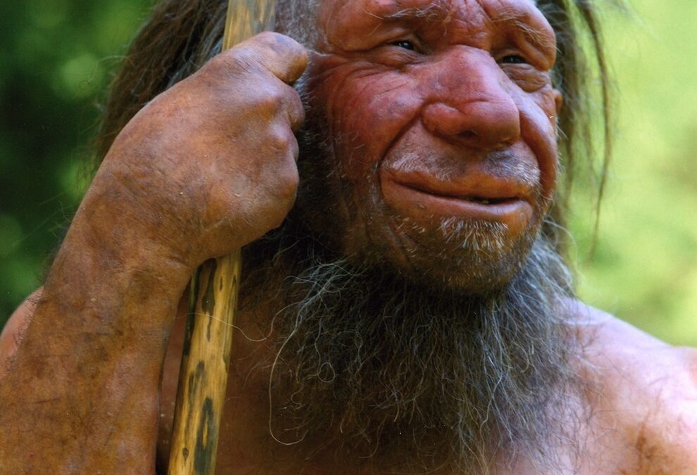 UniTn, anche i Neandertal usavano il fuoco e cucinavano