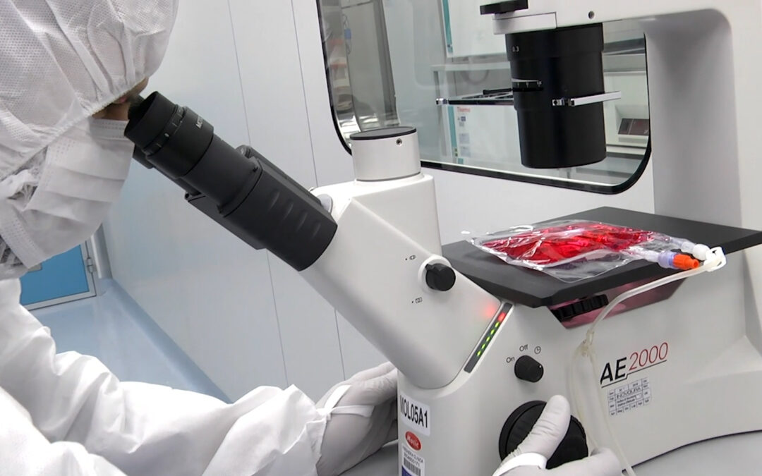 Bambino Gesù, trattamento CAR T per 3 pazienti con malattia autoimmune
