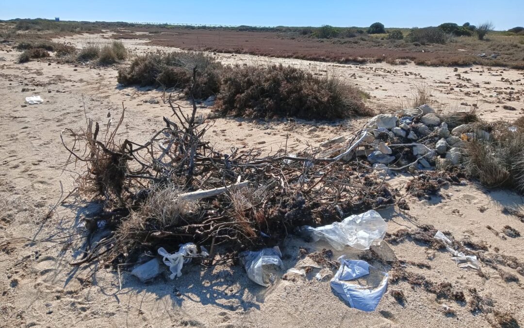UniSalento, 10 cose da sapere sulle micro e nanoplastiche in mare
