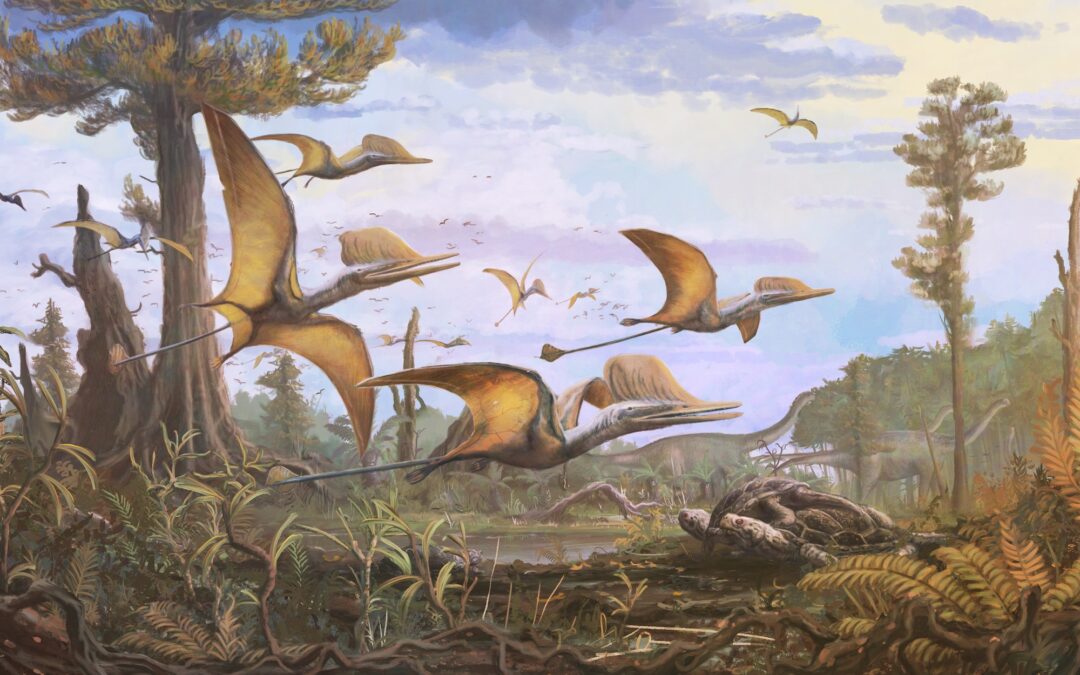 Nuova specie di pterosauro giurassico sull’Isola di Skye