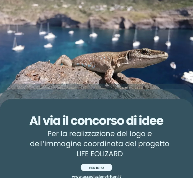 Life Eolizard, partito il concorso per realizzare il logo del progetto