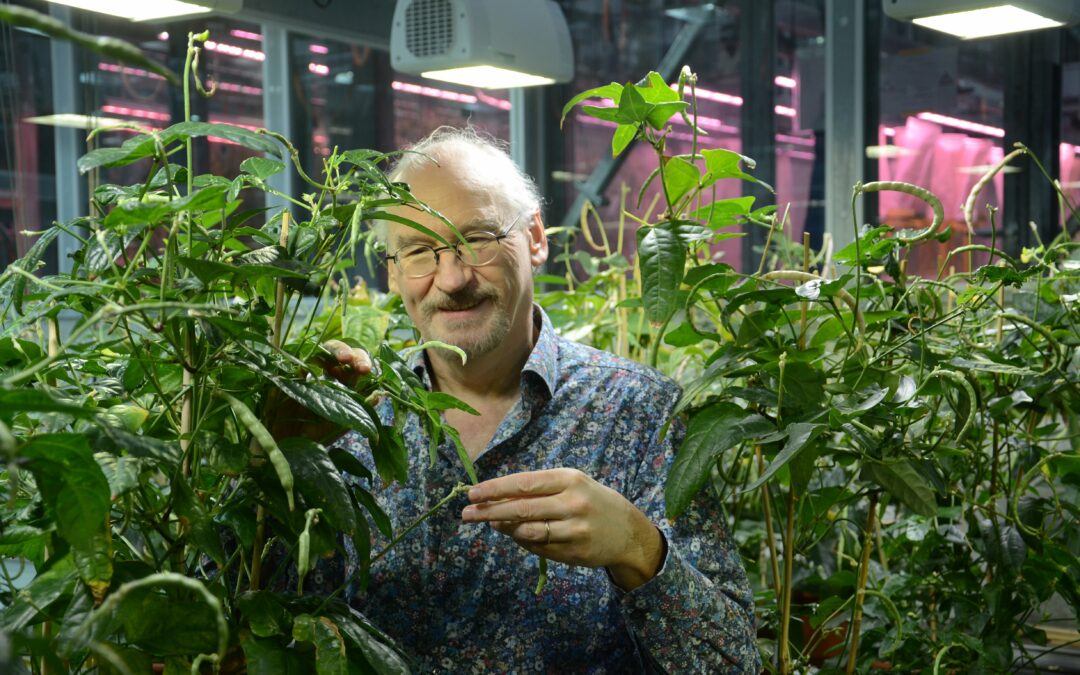Nuova rivoluzione agricola, la riproduzione asessuata delle piante ibride
