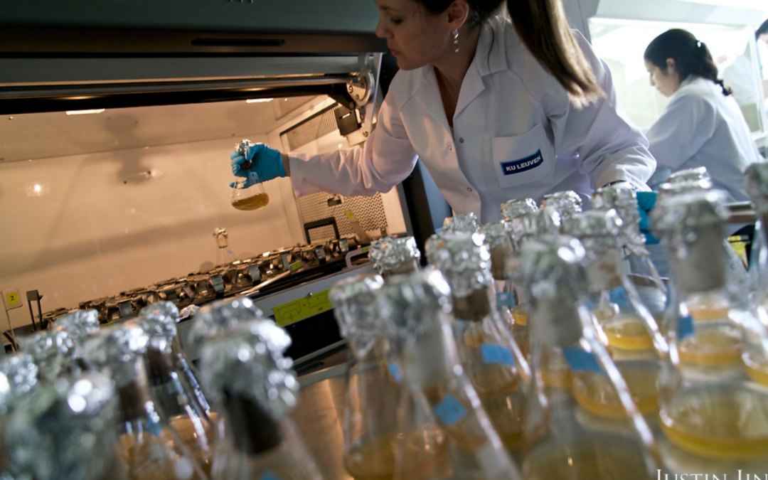 Anche la birra è contaminata dai PFAS