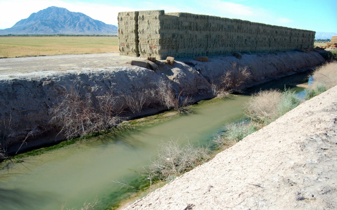 Estrazione dell’acqua sta facendo sprofondare la California