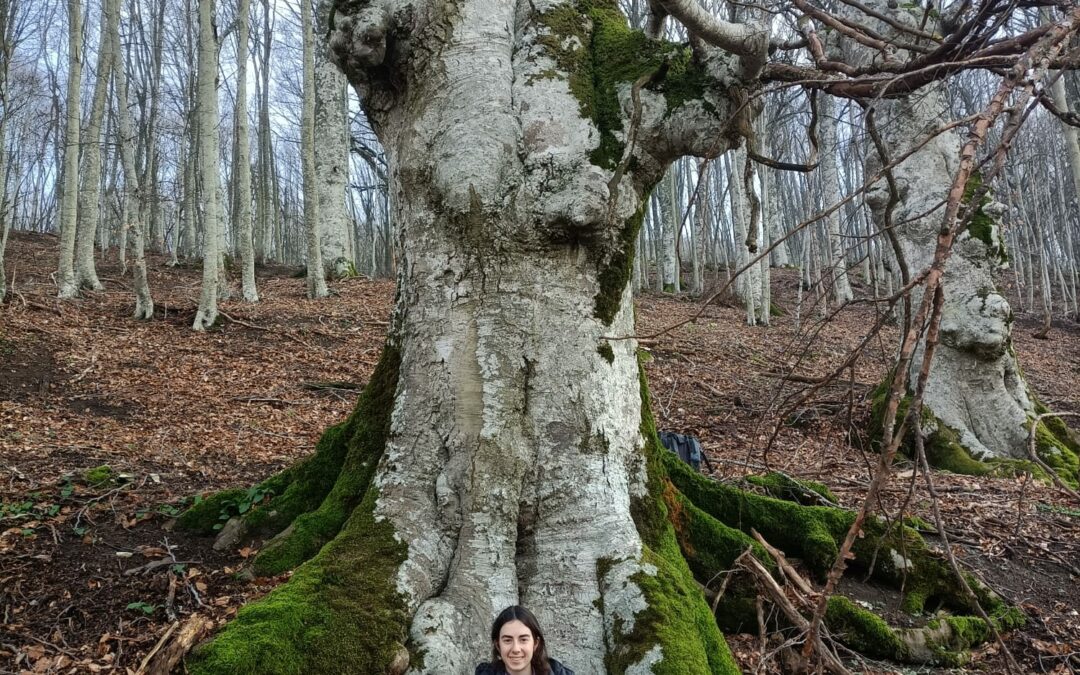 Bicocca, scuola di biodiversità su un albero di quattro metri e mezzo