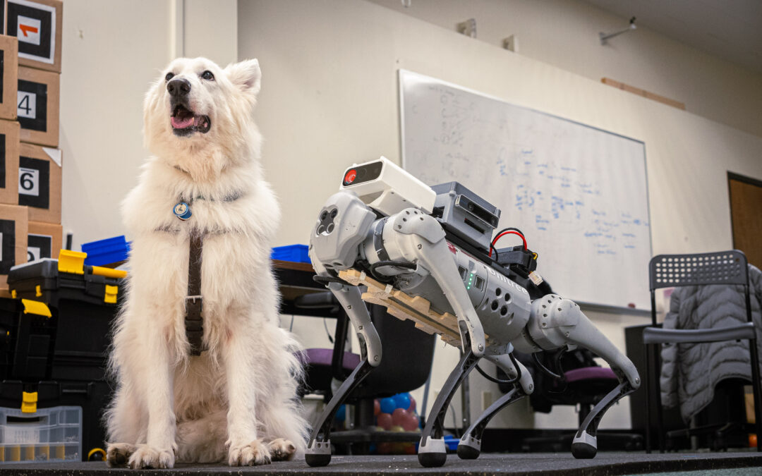 Per ottimizzare i robot-cani guida, bisogna prima ascoltare i non vedenti