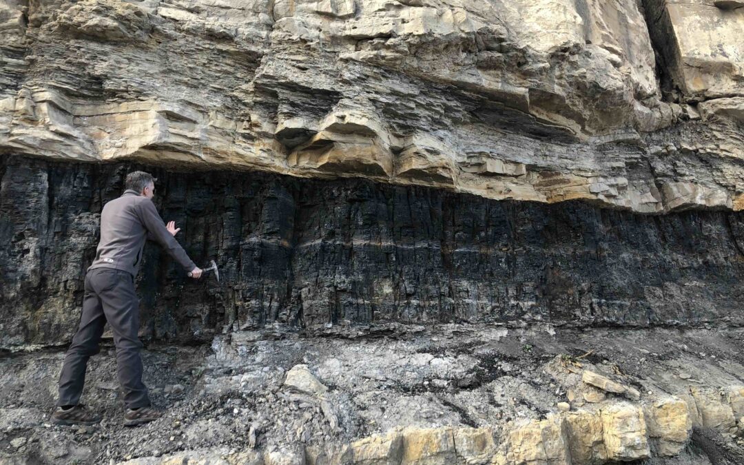 Le miniere di carbone possono essere sfruttate per gli elementi delle terre rare