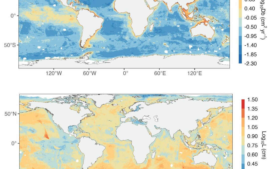 Current Biology:  la prima mappa globale dell’attività della biodiversità dei fondali marini