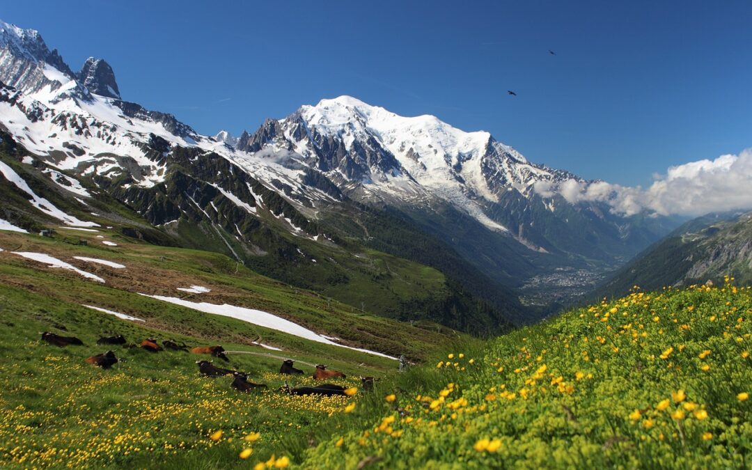 Controversia territoriale Francia-Italia, Vellano (UniTo) dichiarare vetta del Monte Bianco patrimonio dell’identità europea