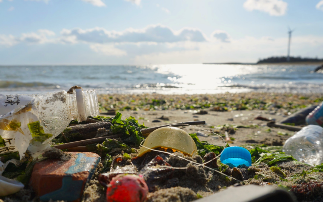 Vivere vicino a un oceano inquinato da microplastiche può aumentare il rischio di malattie cardiometaboliche