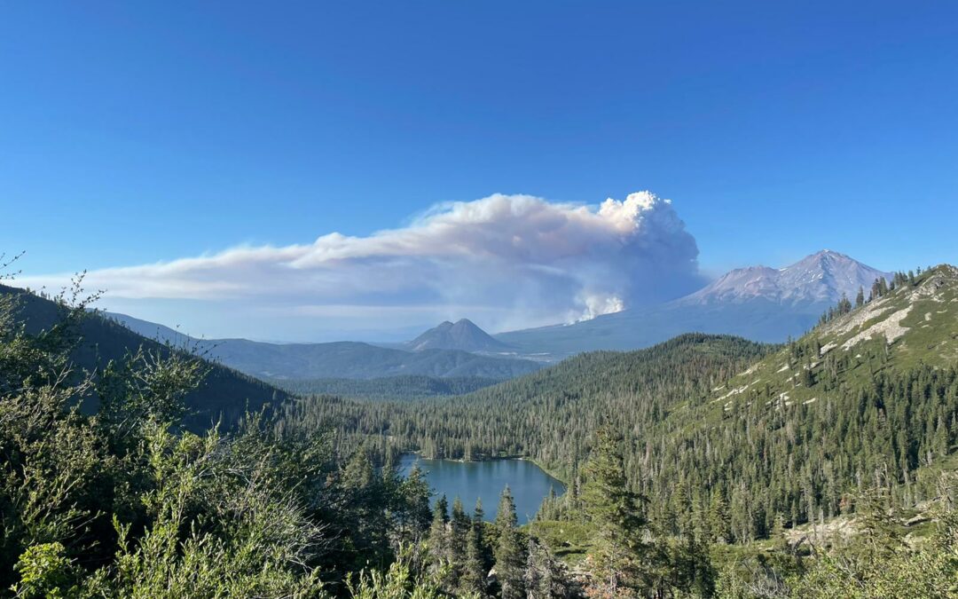 Il fumo ha coperto il 70% della California durante gli anni dei più grandi incendi