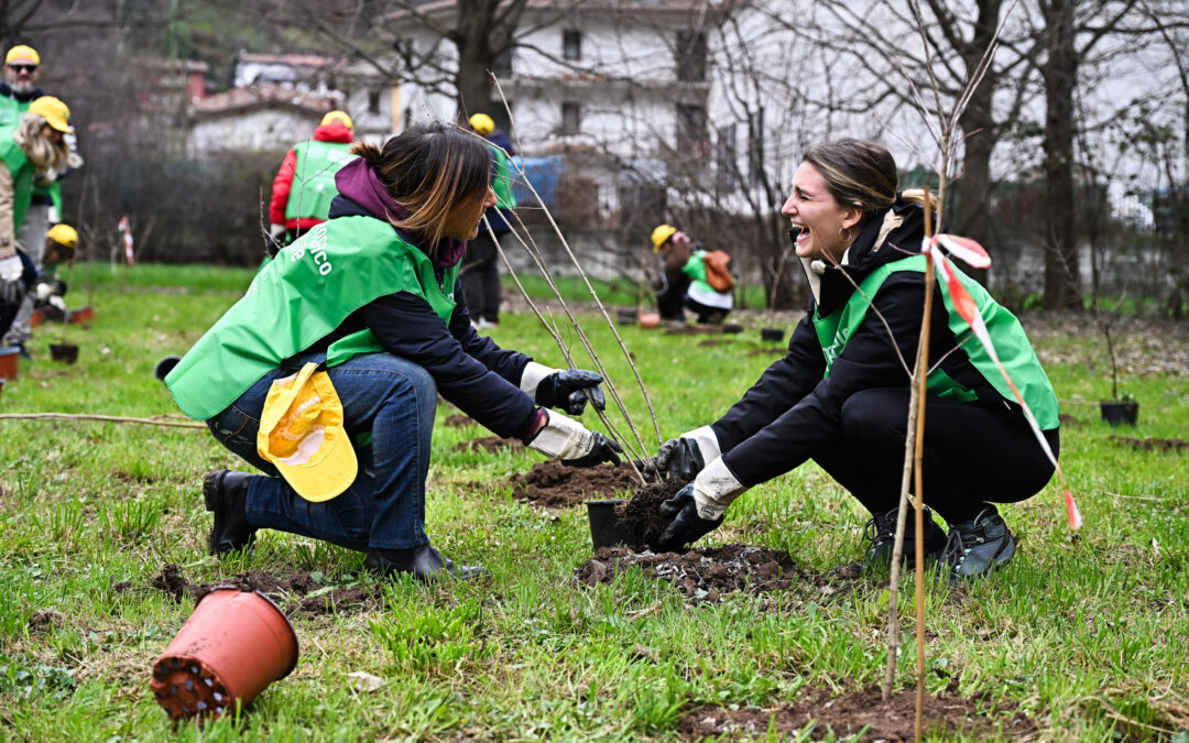 Mosaico verde: messe a dimora oltre 330 mila piante e riqualificate 211 aree verdi in Italia