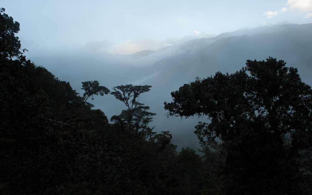 Siccità, mappate le zone più a rischio dell’Amazzonia